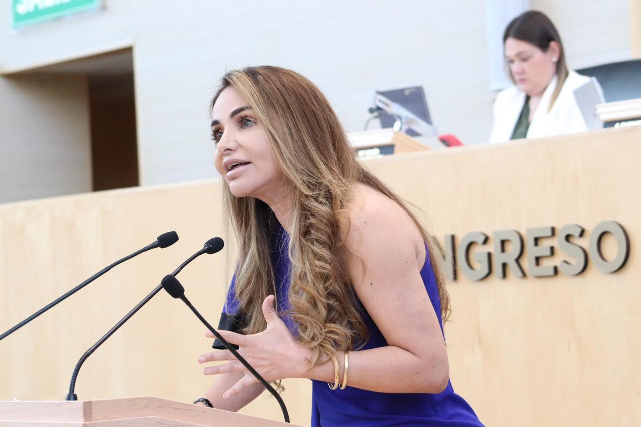 Pide que se haga consulta con estudiantes