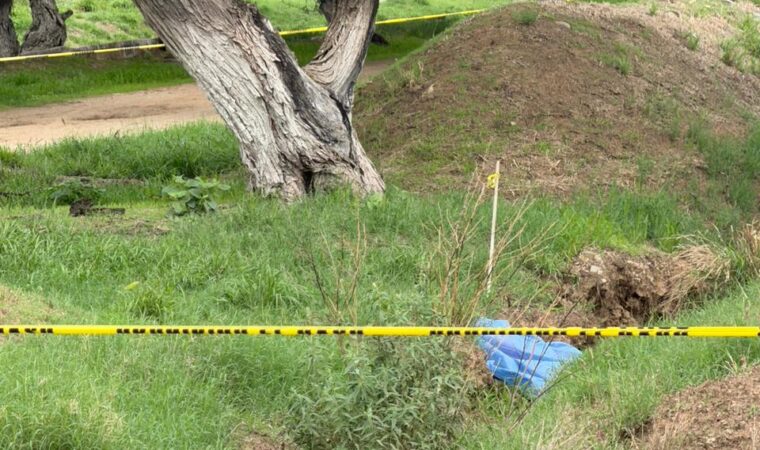 Investigan muerte por ejecución, en Silao