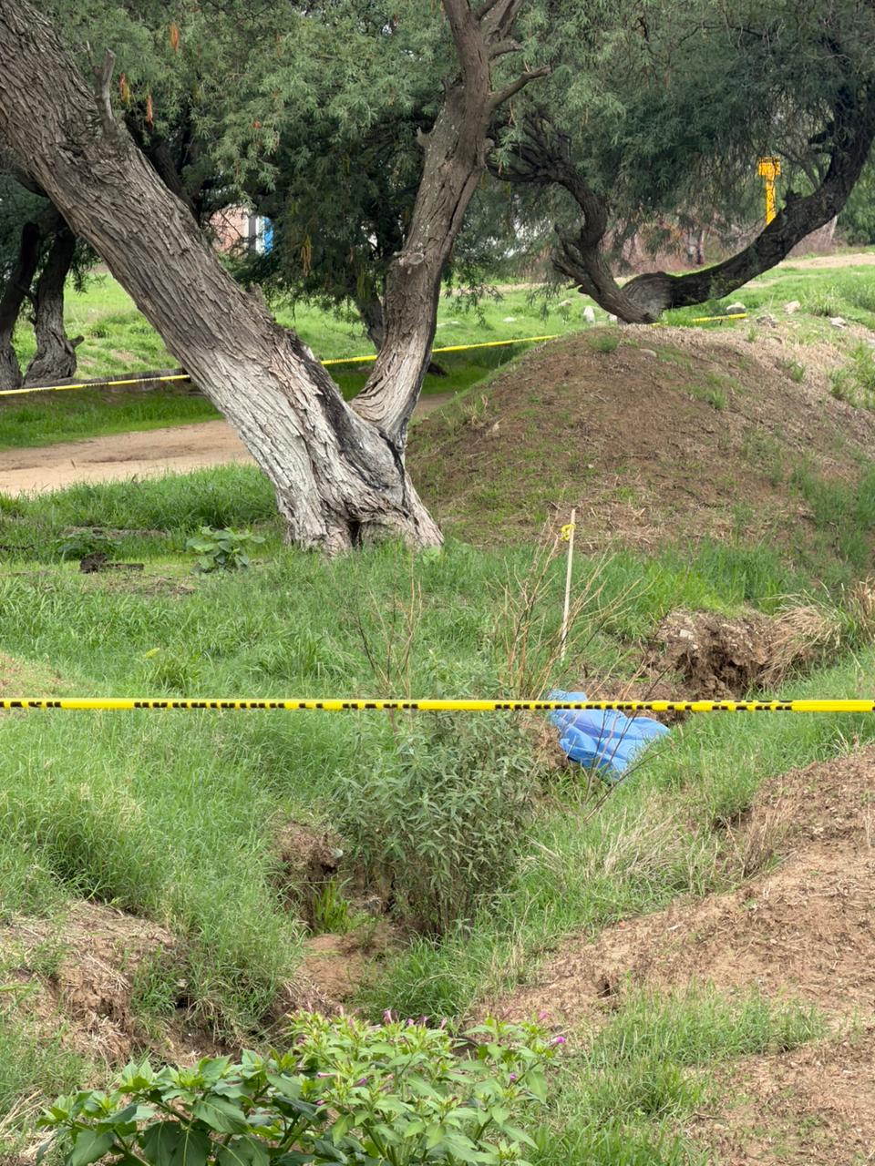 Investigan muerte por ejecución, en Silao
