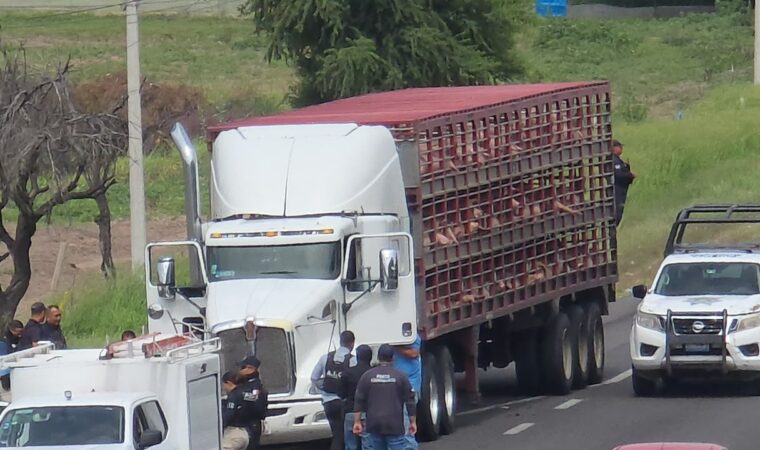 asalto en carretera