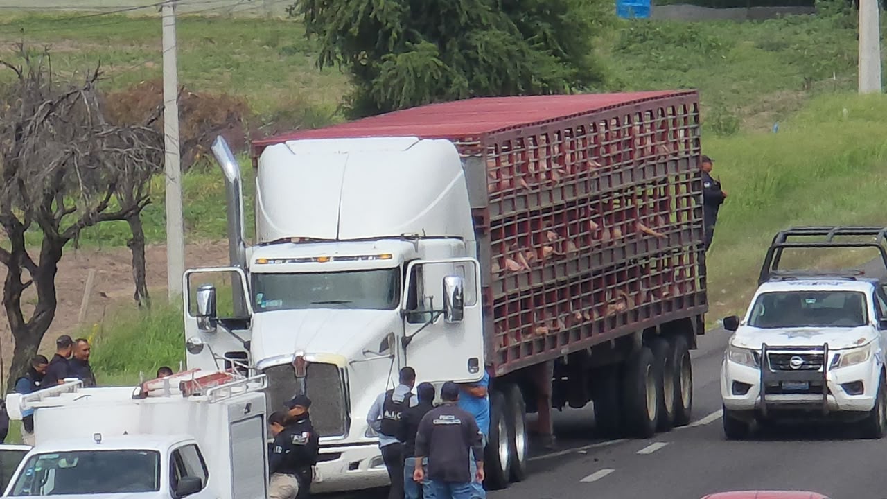 asalto en carretera