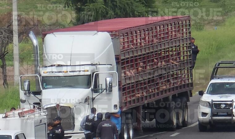 asalto en carretera