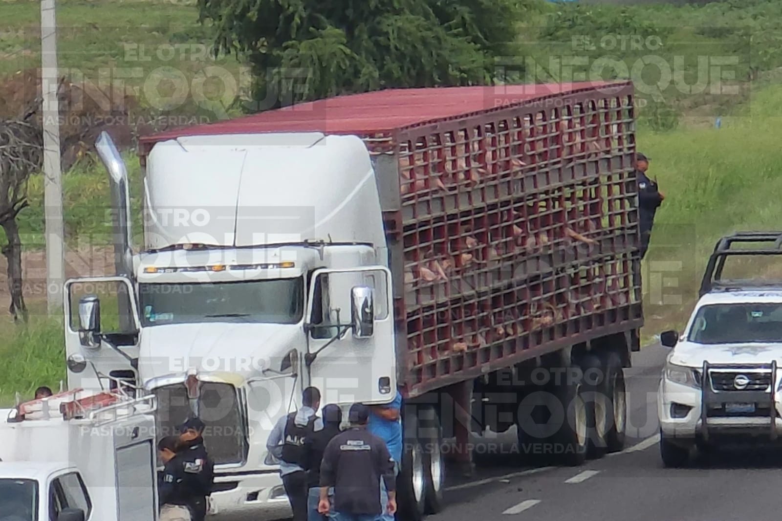 asalto en carretera