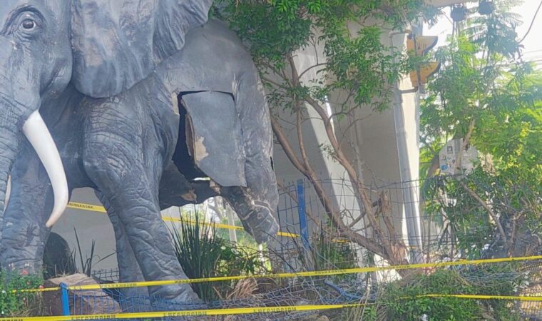 Le tumban pata a figura de Elefante