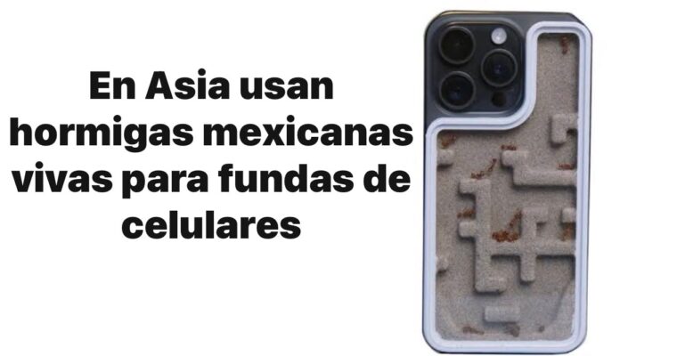 Trafican hormigas