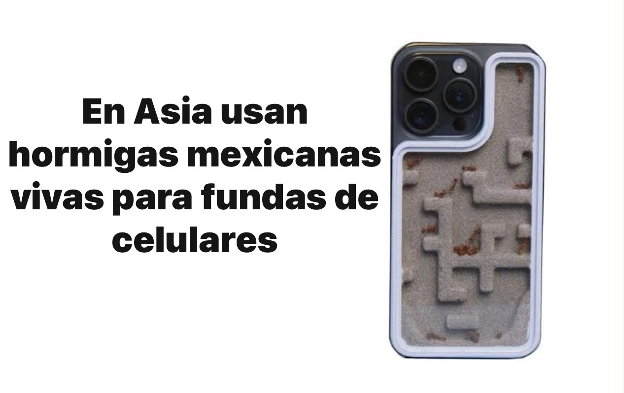 Trafican hormigas