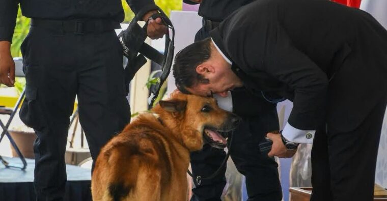 Lamenta muerte de perro