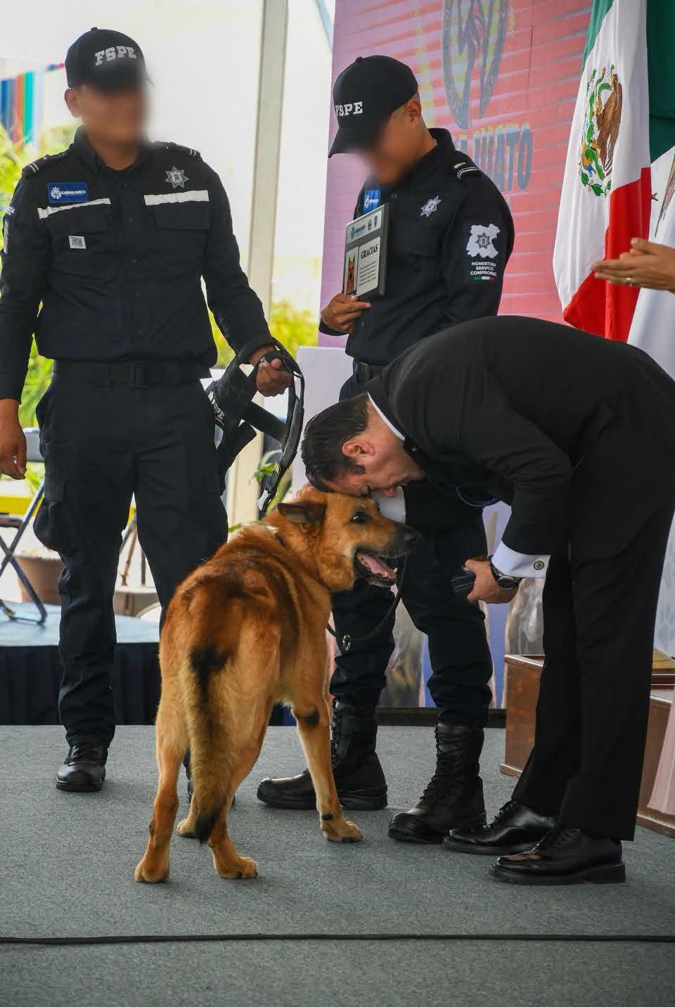 Lamenta muerte de perro