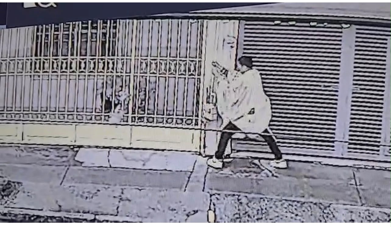 Roban tubo de gas en León