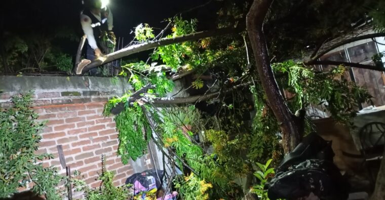 Lluvia en Purísima del Rincón