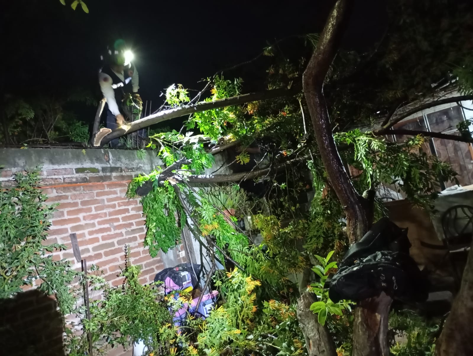 Lluvia en Purísima del Rincón