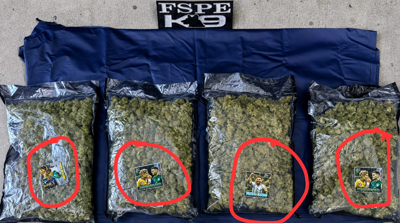 Aseguran droga en León en paquetería