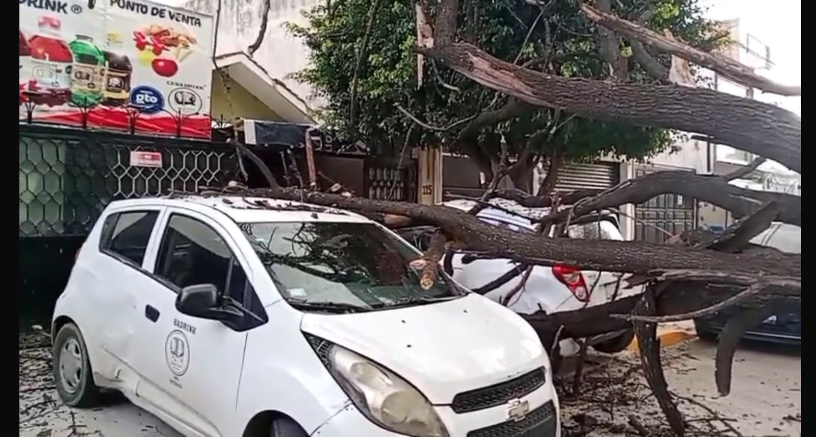 Árbol daña tres vehículos