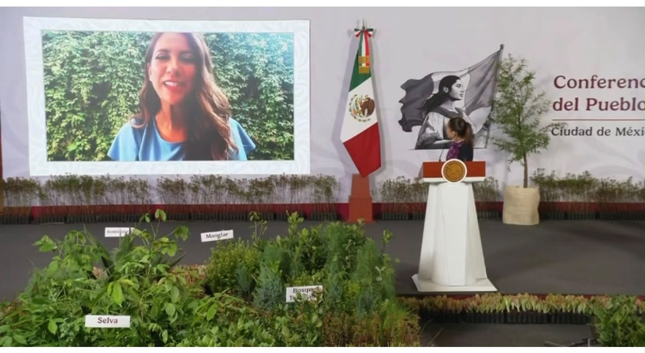 Guanajuato participa en reforestación 2026