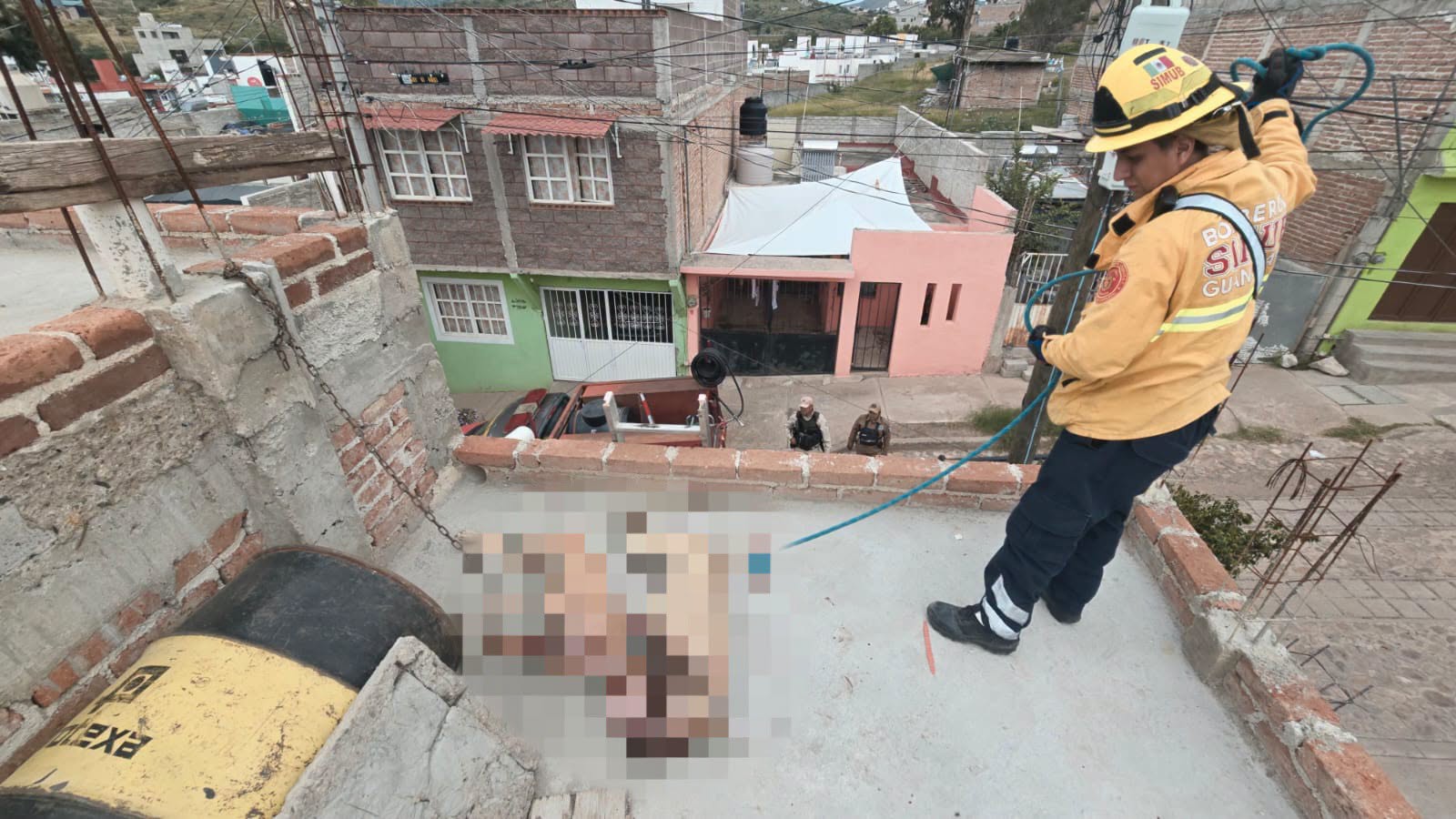 Investigan presunto maltrato animal