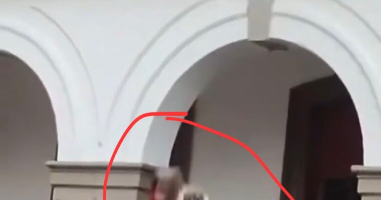 Lanzan a niño desde balcón