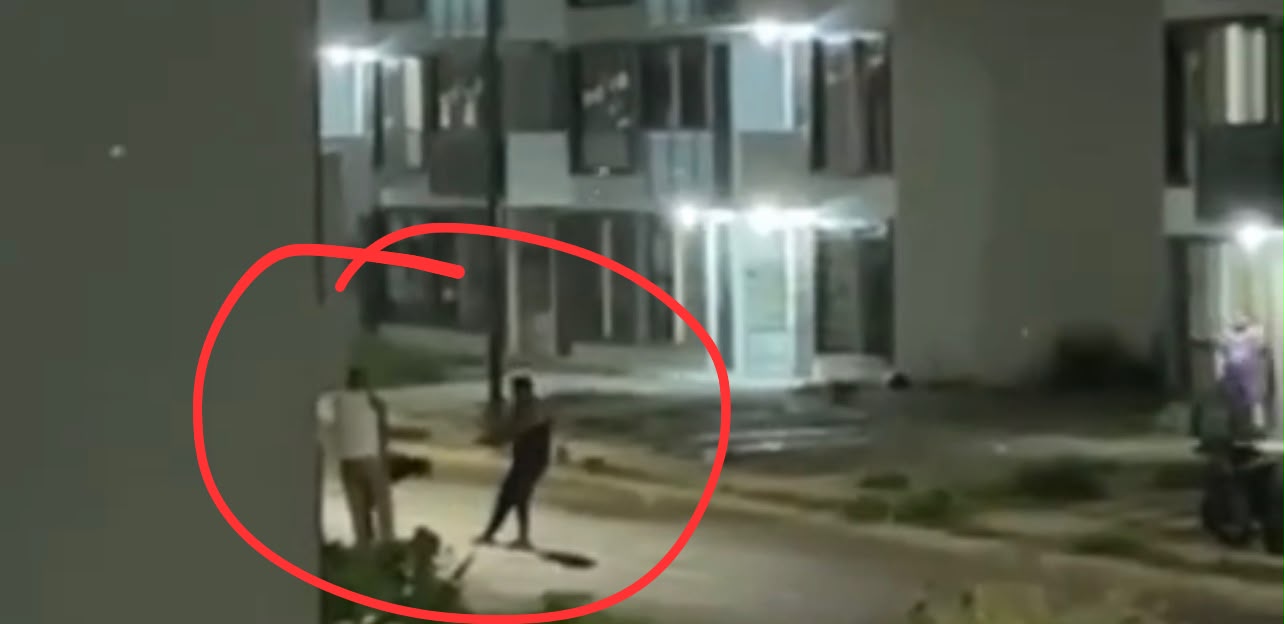 Maltratan a perro en Silao