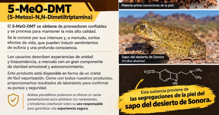 Droga del sapo mexicano