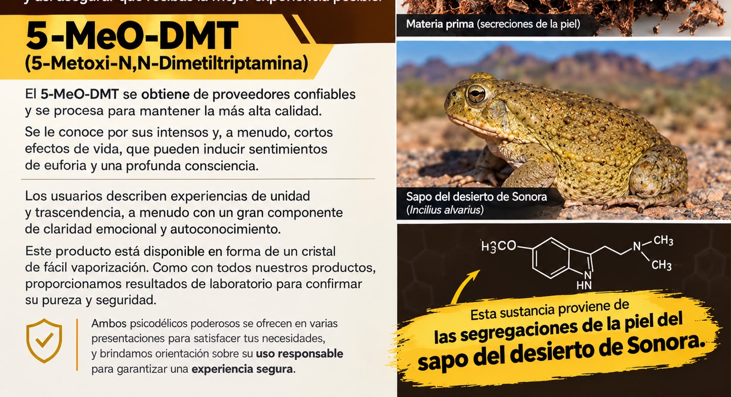 Droga del sapo mexicano